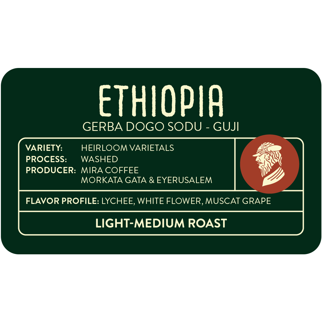 Ethiopia - Gerba Dogo Sodu Guji
